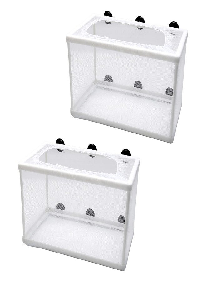 شبكة تربية أسماك أنكسينجو (عبوتان)، صندوق عزل وتفريخ للأسماك، صندوق تفقيس بإطار بلاستيكي، صندوق فصل شبكي للتربية مع كوب شفط لحوض السمك